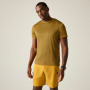T-shirt homme Regatta Fingal Edition