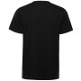 T-shirt homme Alpine Pro Bolen 2