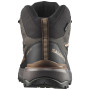 Chaussures homme Salomon X Ultra 360 Mid Gore-Tex
