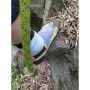 Chaussons d'escalade Ocún Hero QC