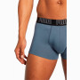 Caleçon homme Puma Basic Trunk 2P