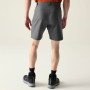 Shorts homme Dare 2b Torrek II Short