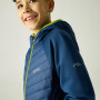 Veste enfant Regatta Junior Andreson Hybrid Aviator Blue