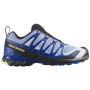 Chaussures homme Salomon Xa Pro 3D V9 Icon