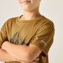 T-shirt enfant Regatta Alvarado Wood Brown