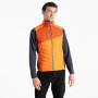 Gilet homme Dare 2b Touring Gilet