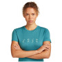 T-shirt femme Icebreaker Women Merino 150 Tech Lite SS Tee Snow Day