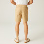 Shorts homme Regatta Sabden Short
