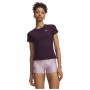 Taille: M / Couleur: bordeau