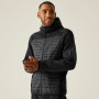 Veste homme Regatta Newhill Hybrid