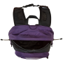 Sac à dos The North Face Hot Shot Se