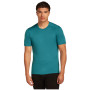 T-shirt homme Icebreaker Mens 200 Oasis SS Crewe