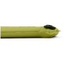Matelas autogonflant Sea to Summit Camp Self Inflating Mat - Large Tarragon
