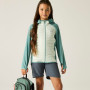 Veste enfant Regatta Junior Andreson Hybrid IvyMossOMist