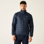 Veste homme Regatta Wentwood