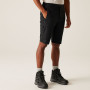 Shorts homme Regatta Highton Shorts Long II