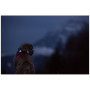 Lumière pour chien Curli Luumi LED