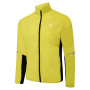 Veste homme Dare 2b Ablaze II W/Shell
