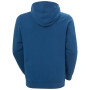 Sweat-shirt homme Helly Hansen HH Logo Hoodie
