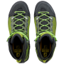 Chaussures homme Salewa MS RAVEN 3 GTX