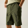 Shorts homme Regatta Arlery Shorts