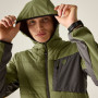 Veste homme Dare 2b Mountaineer Softshell Jacket