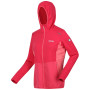 Veste femme Regatta Highton ProFleece