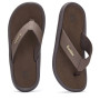 Tongs Gumbies Noosa Brown