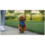 Laisse pour chien Ruffwear Front Range™ Leash