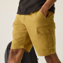 Shorts homme Regatta Ruwan Shorts