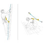 Antichute Petzl Asap