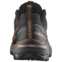 Chaussures homme Salomon X Ultra 360 Gore-Tex