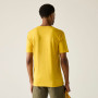 T-shirt homme Regatta Rendro