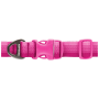 Collier pour chien Ruffwear Front Range™ Collar