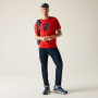 T-shirt homme Regatta Cline IX
