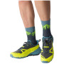 Chaussettes Dynafit Traverse Mid Sk
