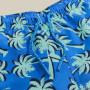 Maillot bain enfant Regatta Skander SBluIGrPalm