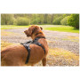 Harnais pour chien Mountain Paws 3-Strap Dog Harness