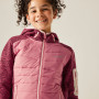 Veste enfant Regatta Junior Newhill Hybrid