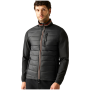 Veste hybride pour homme Regatta Brentmoor Hybrid