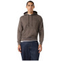 Sweat-shirt homme Champion Hooded Sweatshirt M Champion Laundry