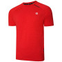 T-shirt homme Dare 2b Persist Tee