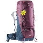 Sac à dos femmes Deuter Aircontact 50+10 SL (2020) bordeau BlackberryNavy