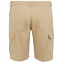 Shorts homme Regatta Ruwan Shorts