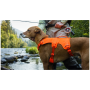 Harnais pour chien Ruffwear Web Master™ Harness