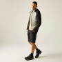 Veste homme Regatta Andreson Hybrid