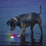 Jouet pour chien Nite Ize Glowstreak LED Ball