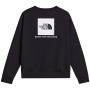 Sweat-shirt homme The North Face M Evolution Box Nse Regular Crew