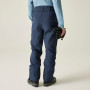Pantalon homme Dare 2b Achieve III Pant regular