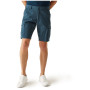 Shorts homme Regatta Ruwan Shorts